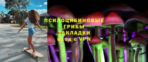 крисы Пенза